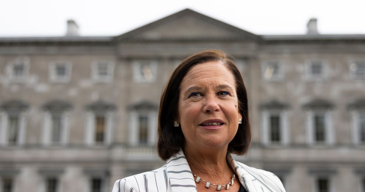 Mary Lou McDonald says it's 'hard to swallow' that Chris Andrews lost Dail seat to suspended SocDem Eoin Hayes