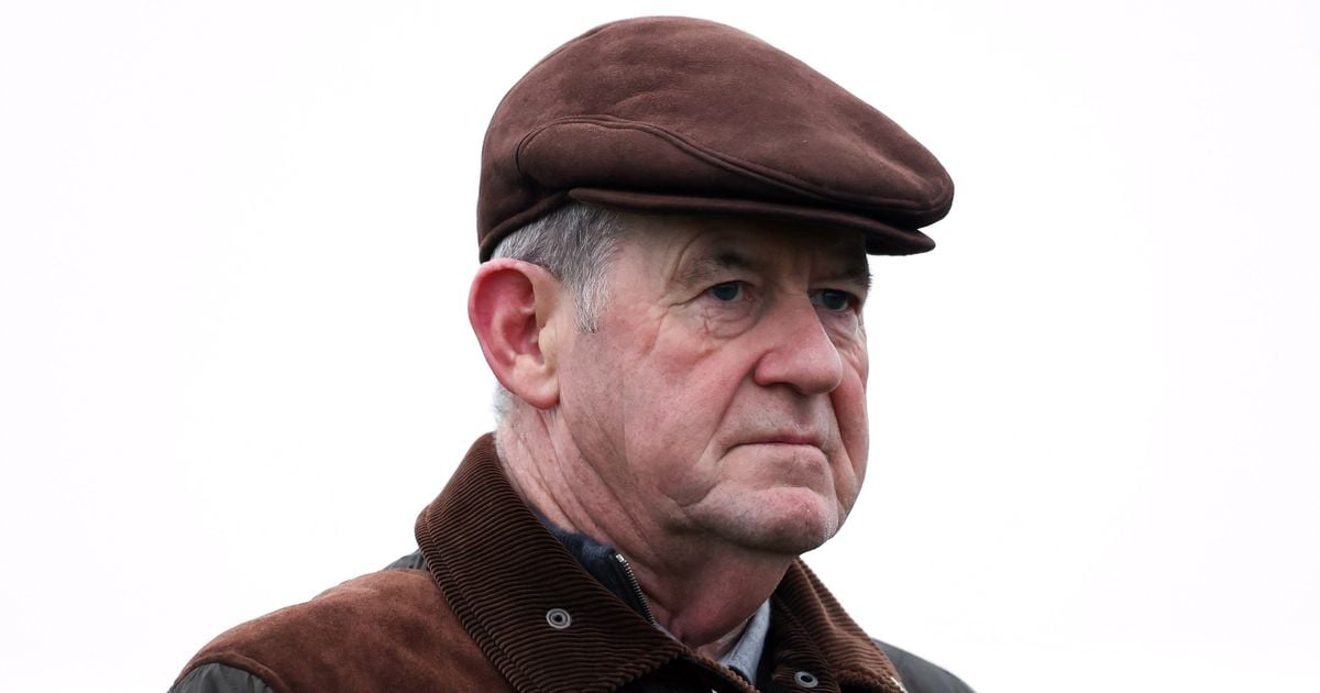 JP McManus splashes the cash to buy Cheltenham Festival favourite The New Lion