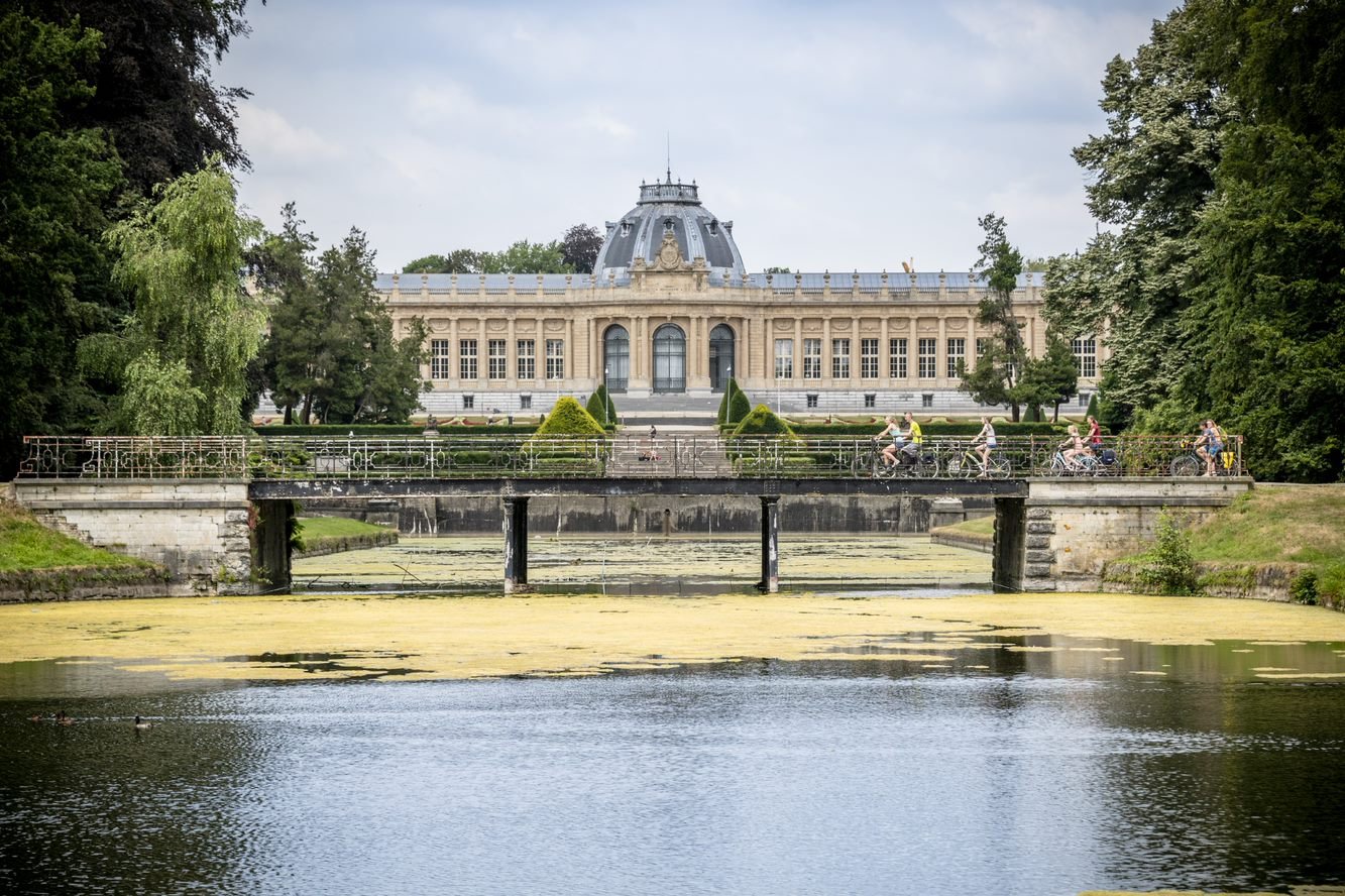 French and English gaining ground in Brussels' Flemish periphery