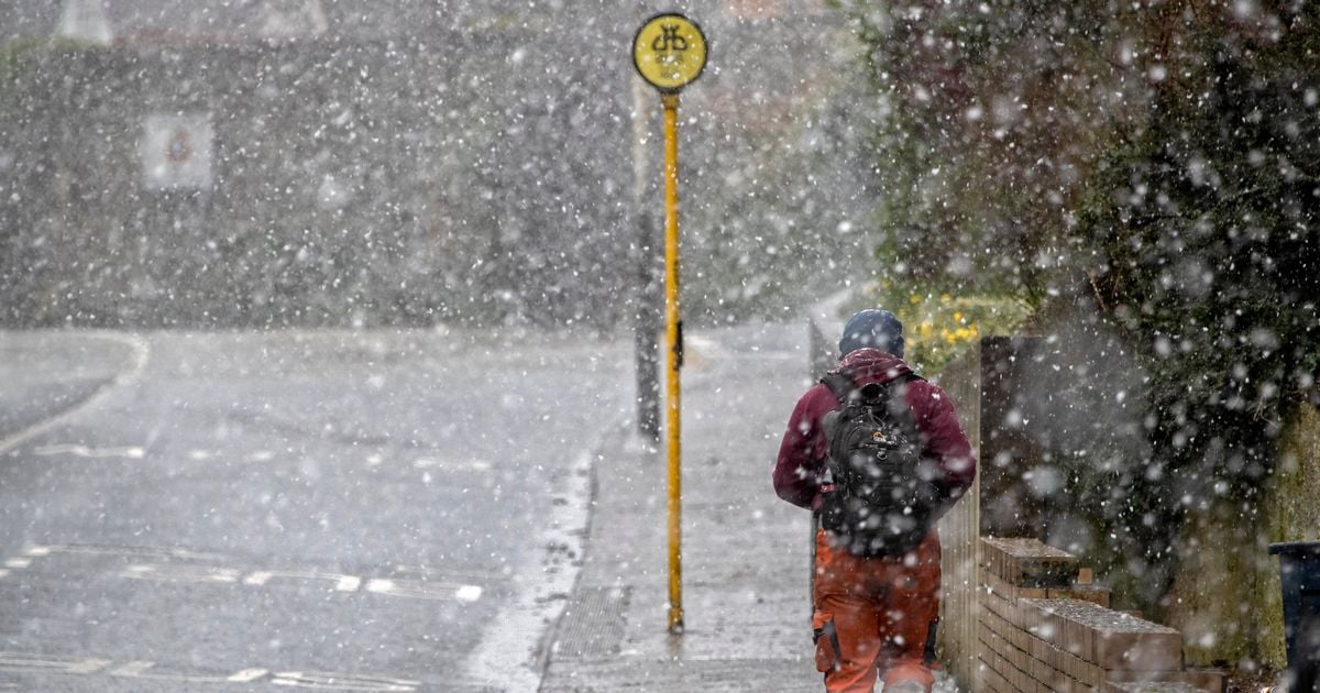 Are Bus Eireann, Irish Rail, Dublin Bus and Luas running today? Travel updates amid snow chaos