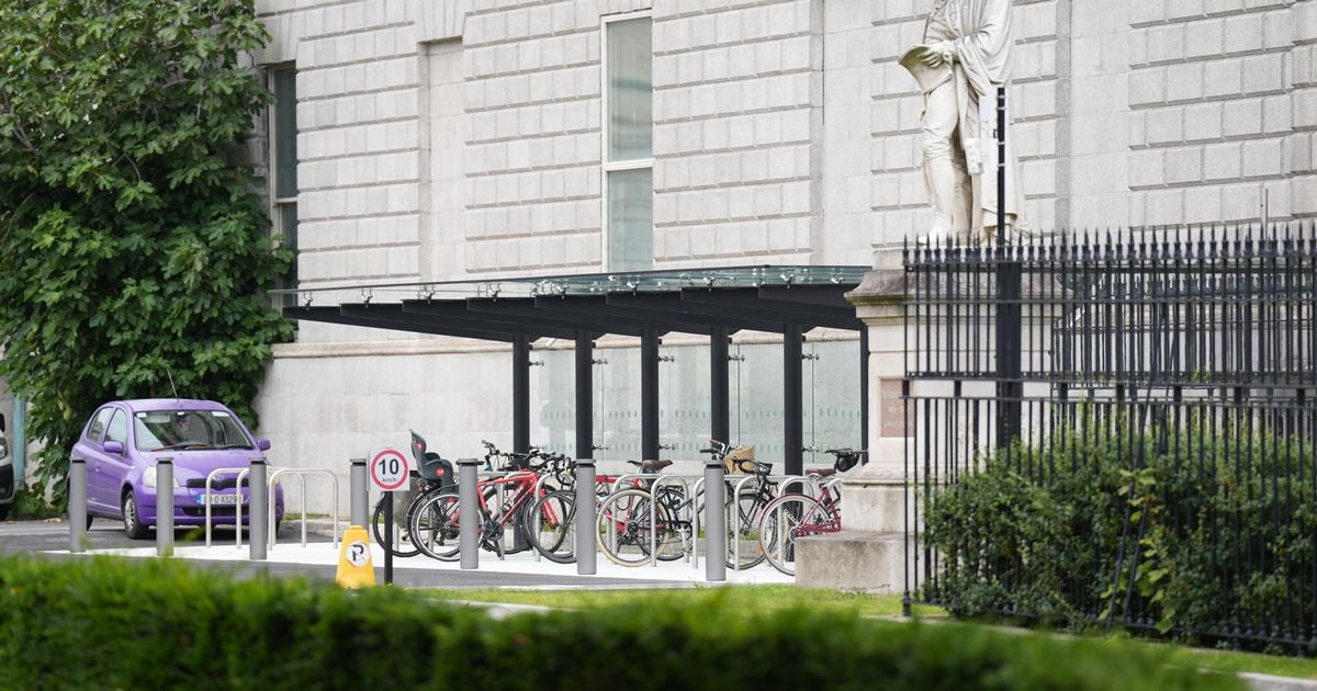 Leinster House bike shed cost 10 times more than another bike shed completed at Garda HQ six weeks earlier 