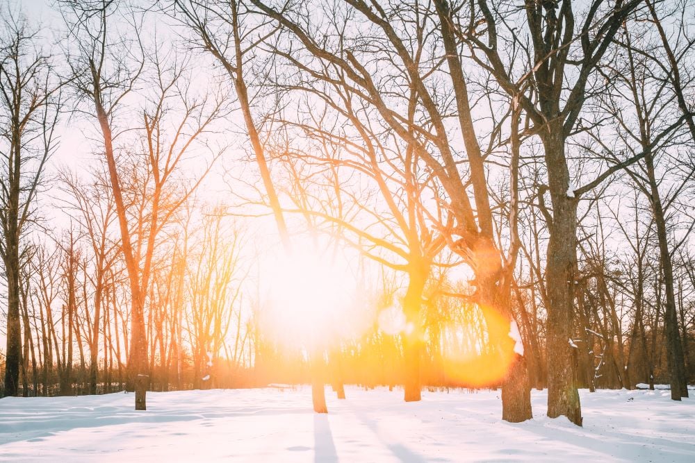 Record Temperatures in Romania: Warmest January 8 Morning Logged