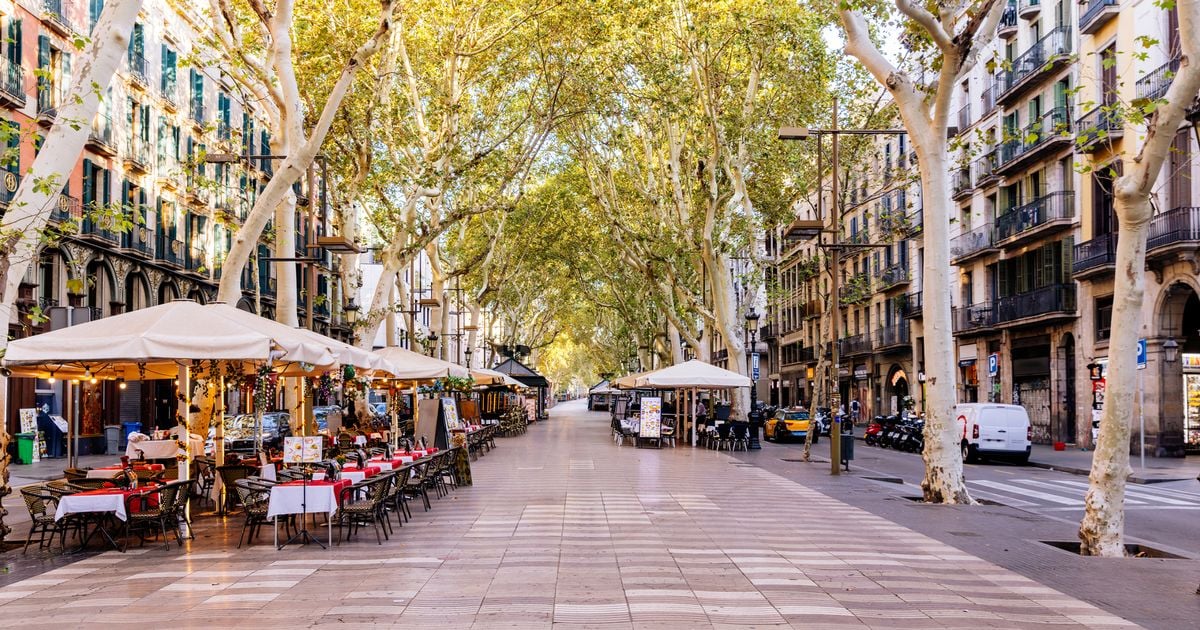 Man travels to Spain - what he finds hidden behind shop leaves him gobsmacked