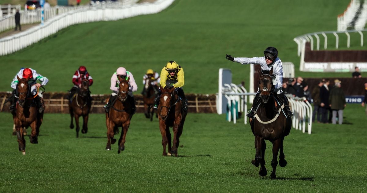 Cheltenham Festival liabilities mount for bookies as they hope to get big favourite beaten