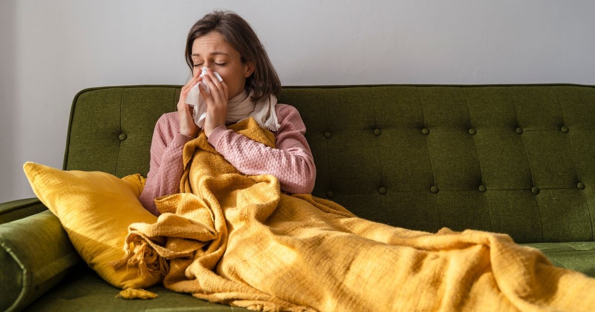 Three major differences between cold and flu as HSE issue appeal to public amid surge in cases