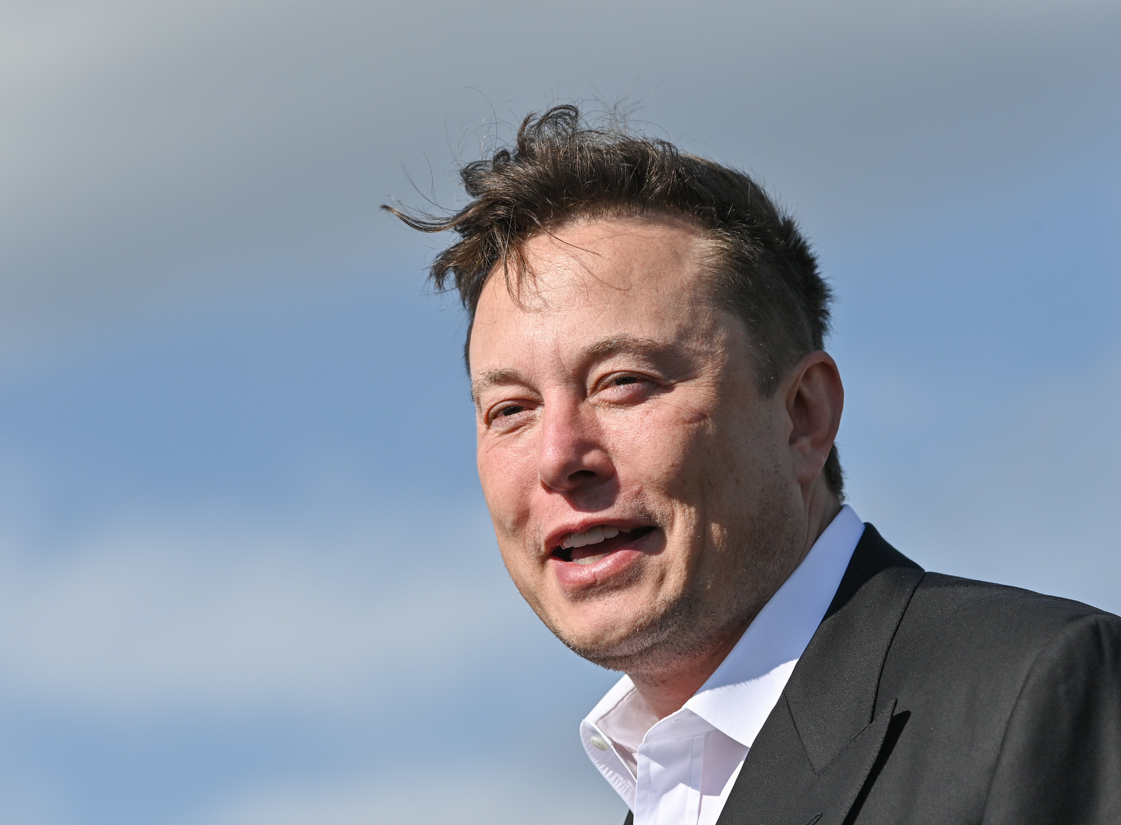 Most Germans say Elon Musk's endorsement benefits AfD