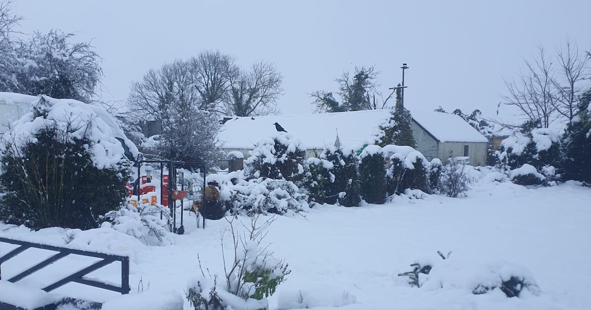 Weather Ireland: Temperature of -7.5 recorded amid warning for severe frost and ice