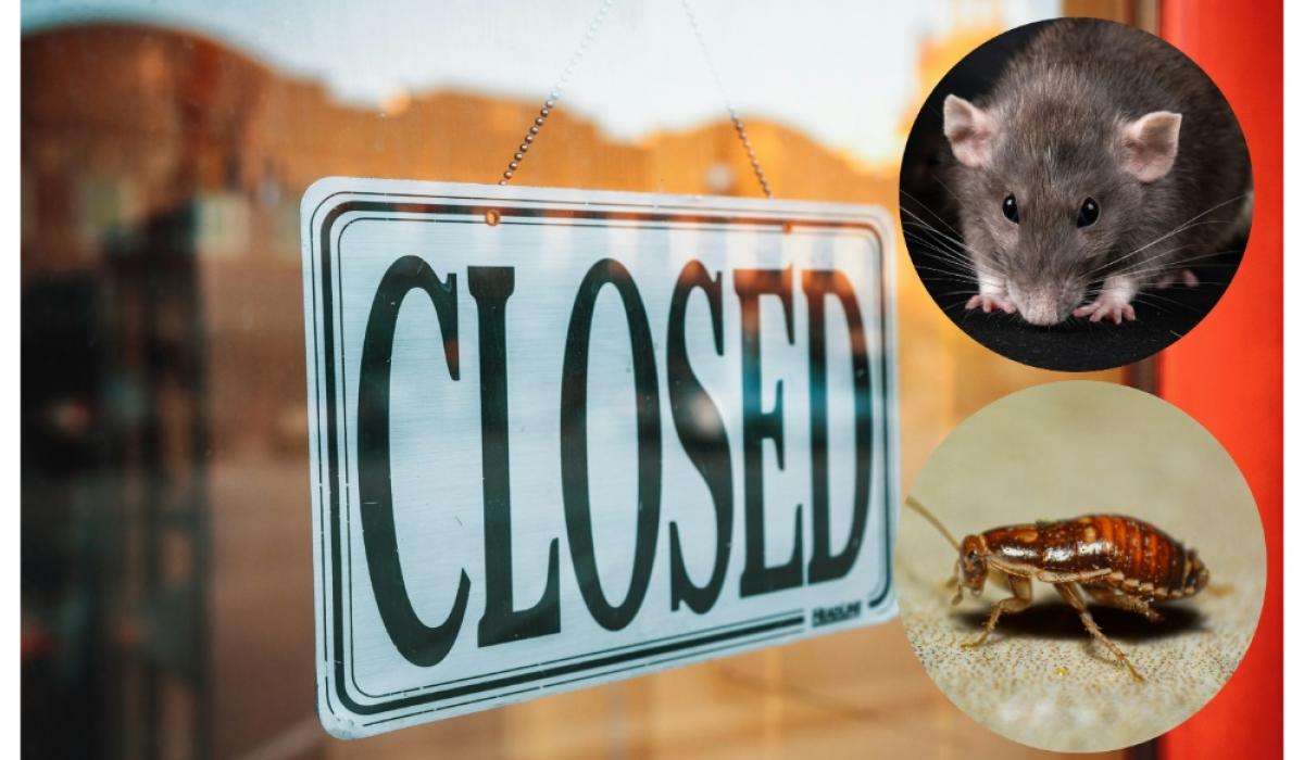 Decomposed rat carcass and live cockroaches found on walls as several food businesses ordered to close across Ireland