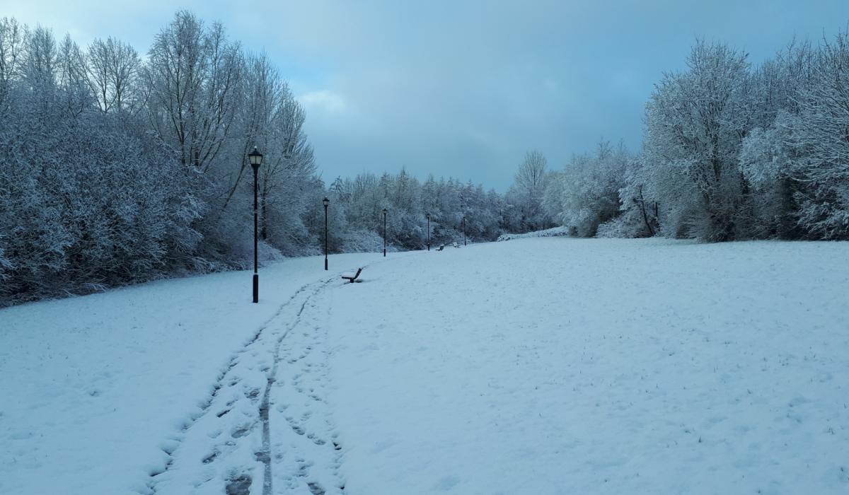 Met Eireann forecasts thaw as Ireland endures another freezing night with -6.6C recorded