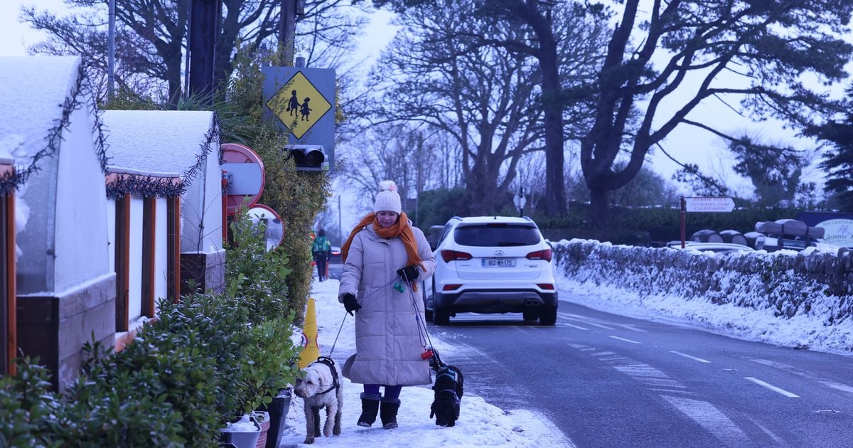 Ireland weather: Met Eireann pinpoints last snowfall as cold snap to end very soon