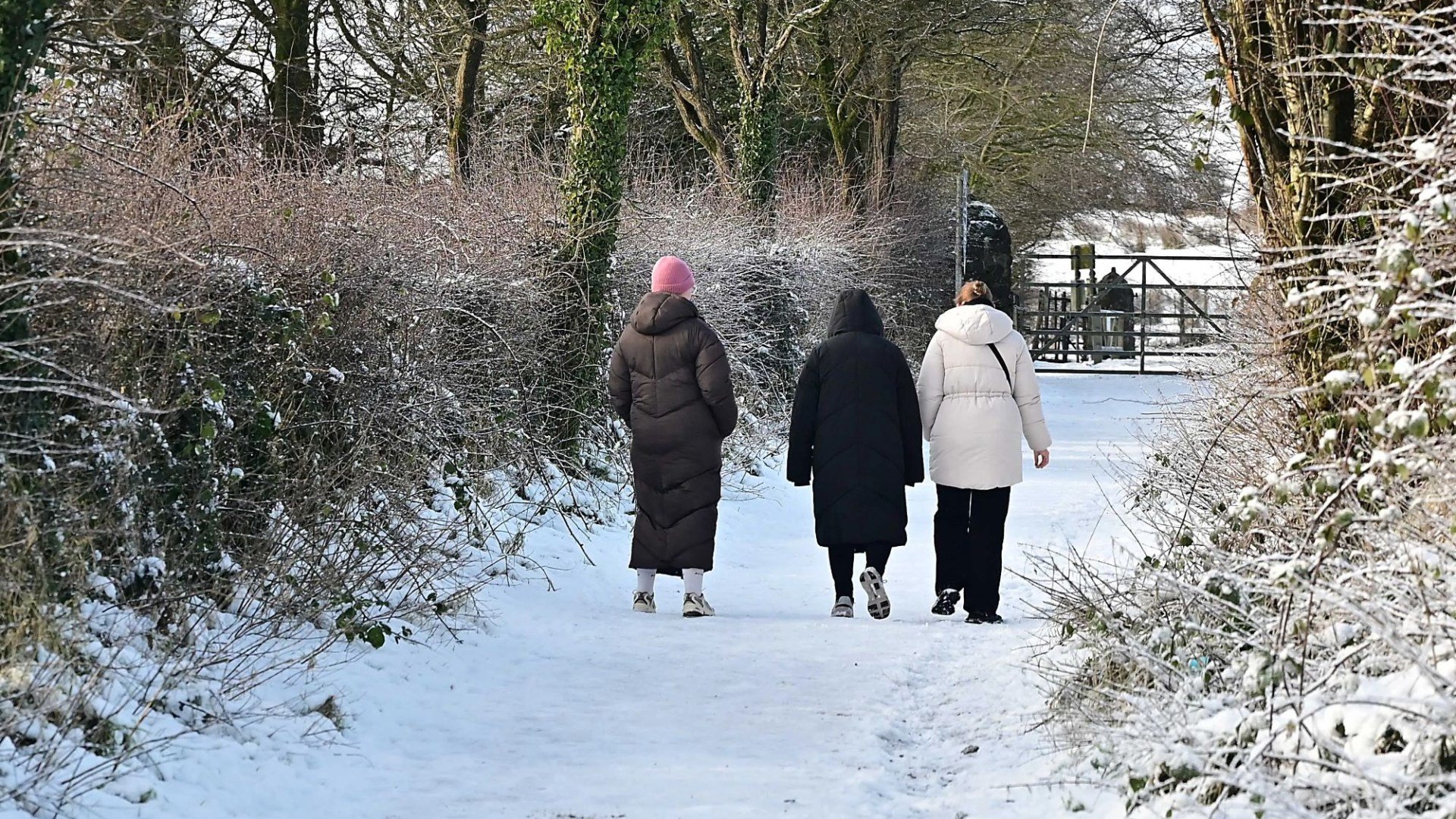 'Don't put away woolly hat yet' - Weather expert in -2C wind alert after 7-day ice blast as Met Eireann pinpoint thaw