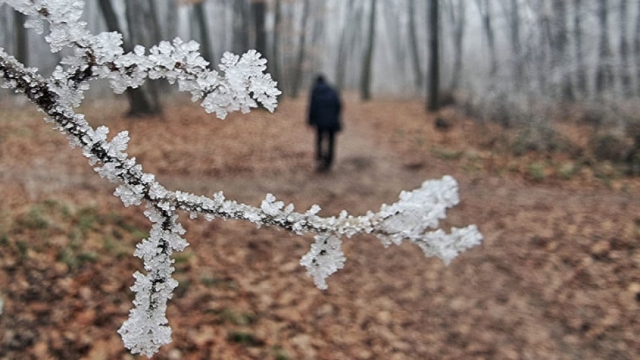 Spring-like daytime temperatures