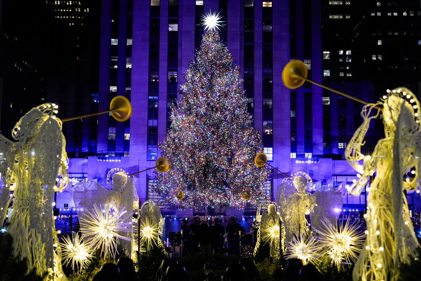 Rockefeller Christmas tree coming home to Berkshires to build houses