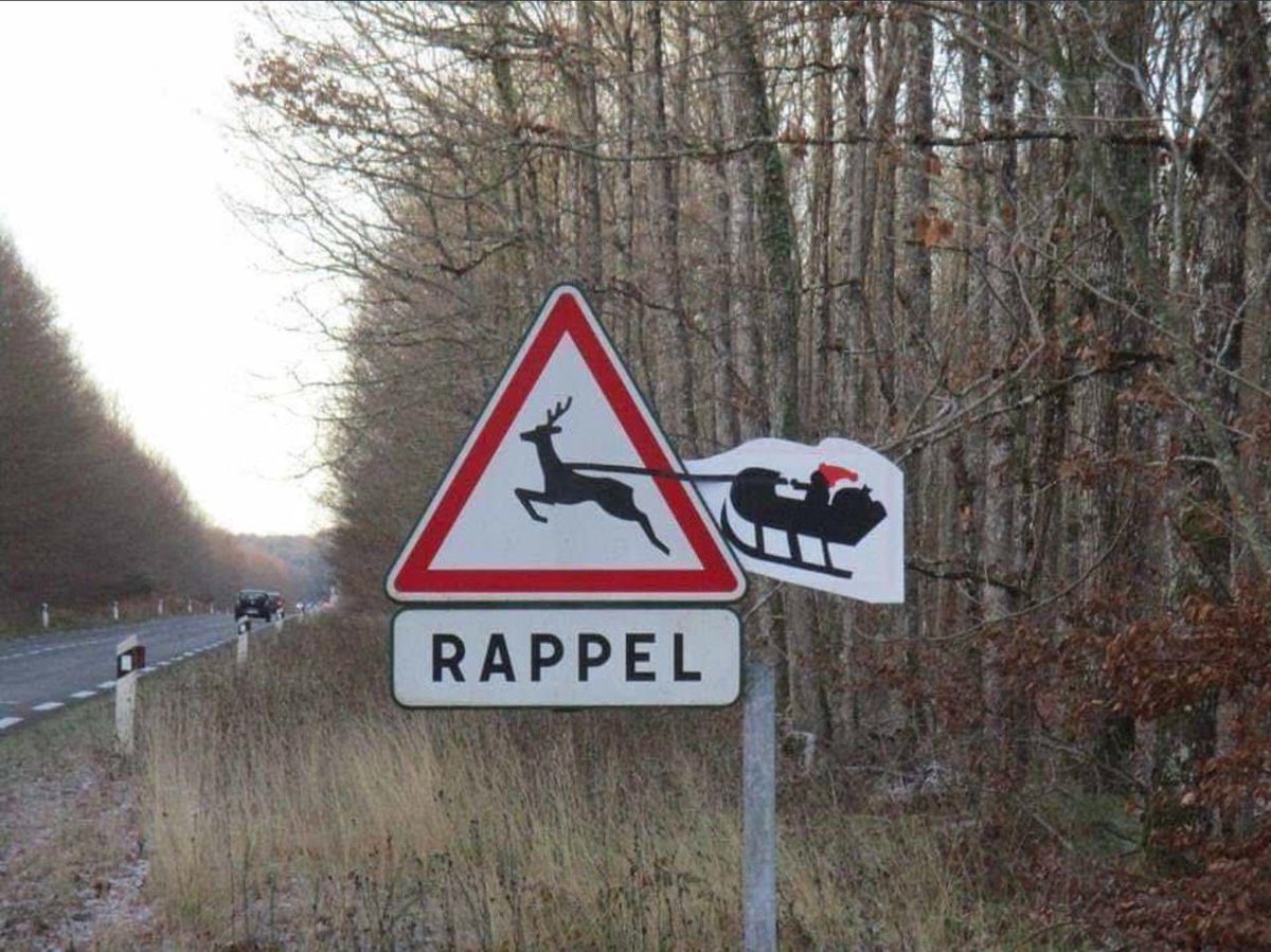 Magical Reindeers Ahead! Discover the Whimsical Warning Sign in Belgium