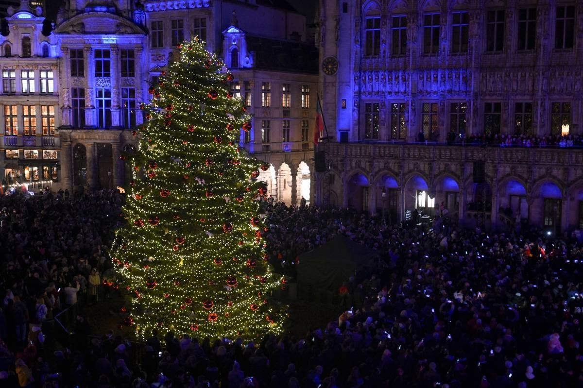 Sweden says Christmas tree needles safe to eat - after Belgian warning