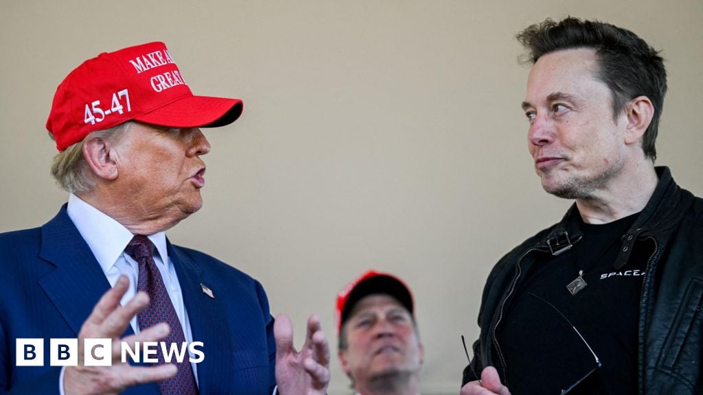 How Trump and Musk's interventions prompt fresh diplomatic challenge