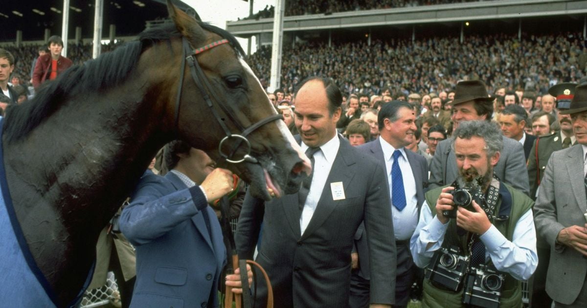 The Shergar kidnapping that sent shockwaves through the racing world and beyond