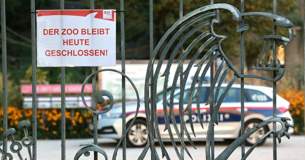 Animal lockdown, two zoos closed and 200 pigs culled in Germany