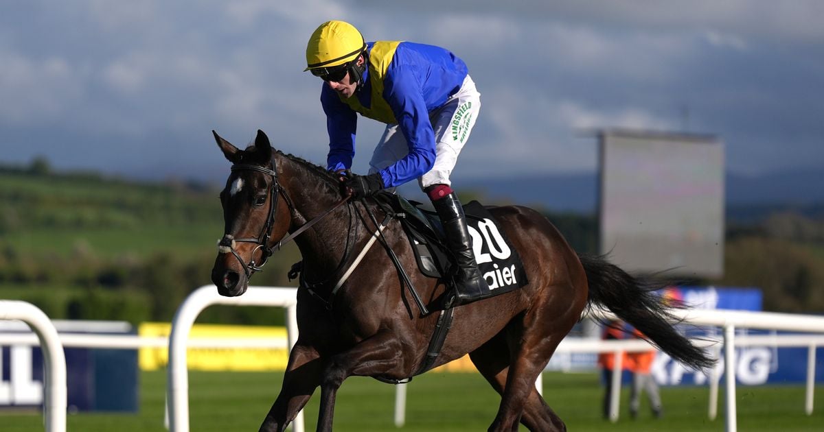 Impressive Fairyhouse winner halves in price for Cheltenham Festival 