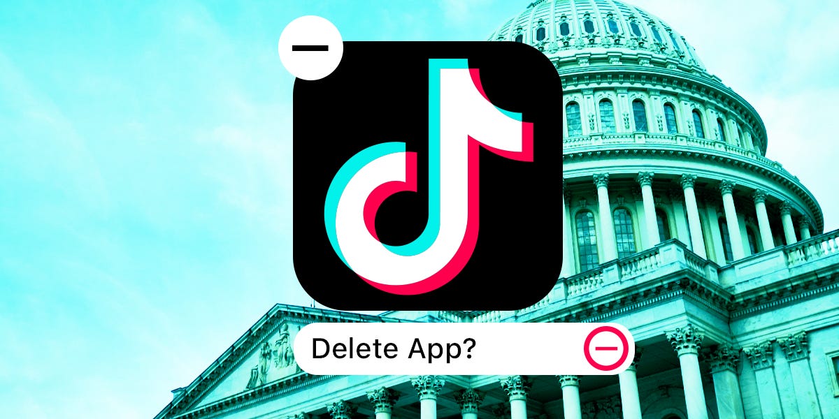 TikTok says it would 'go dark' in the US this month if Supreme Court doesn't intervene