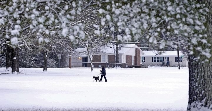 Airport delays, travel warnings as southern U.S. storm maintains icy grip - National