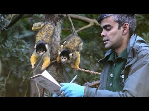 London Zoo&#39;s residents are counted in annual stocktake