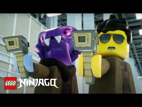 LEGO Ninjago: Dragons Rising - The Administration | WildBrain Fizz | Cartoons for Kids