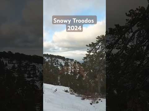 Snowy Troodos Mountains 2024 #cyprus #snow #troodos