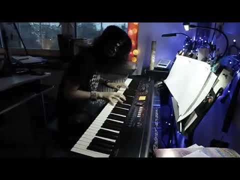 Muse - New Born (Vkgoeswild piano cover)