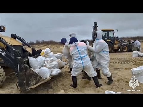 More than 30 dolphins dead in southern Russia oil spill, animal rescue group says